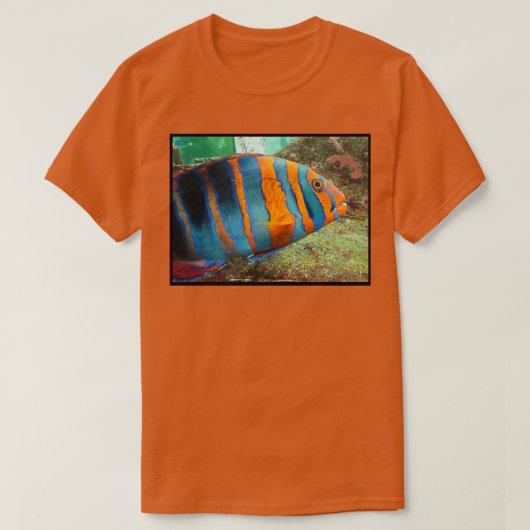 着色魚 Tシャツ (デザイン正面)