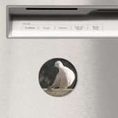 着色鳩マグネット マグネット (インサイチュ (食洗機))