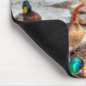 着陸する女性マラードダックバードワイルドライフ マウスパッド (コーナー)