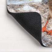 着陸する女性マラードダックバードワイルドライフ マウスパッド (コーナー)