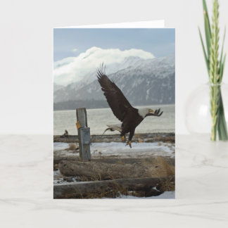 着陸のワシ カード