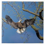 着陸方法 タイル (正面)