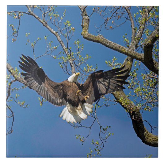 着陸方法 タイル (正面)