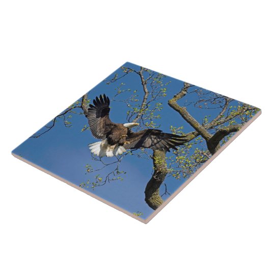 着陸方法 タイル (側面)