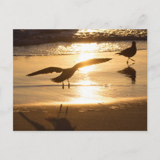 着陸方法 ポストカード