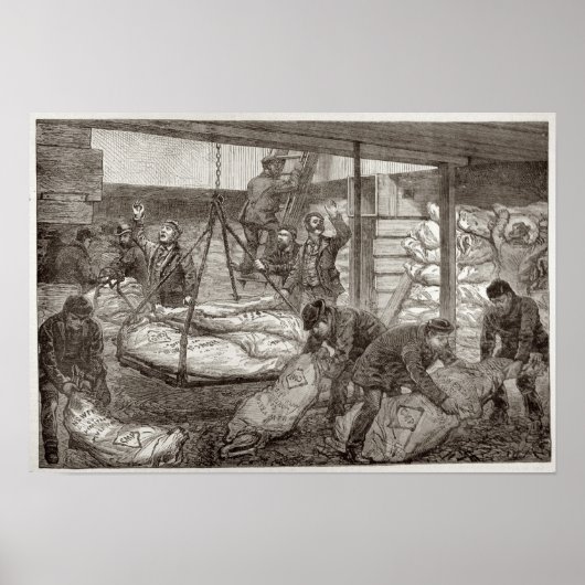 着陸用オーストラリア凍っていの肉 ポスター (正面)