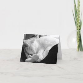 睡眠のきしむ音 カード