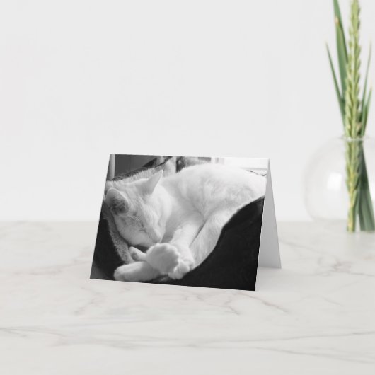 睡眠のきしむ音 カード (正面)