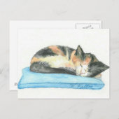 睡眠のさらさの子ネコの郵便はがき ポストカード (正面/裏面)