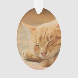 睡眠のオレンジ虎猫猫 オーナメント