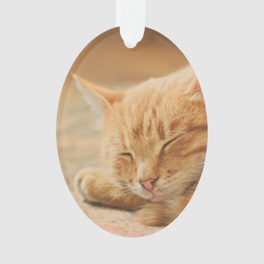 睡眠のオレンジ虎猫猫 オーナメント (正面)