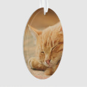 睡眠のオレンジ虎猫猫 オーナメント (正面)