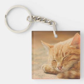 睡眠のオレンジ虎猫猫 キーホルダー
