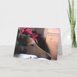 睡眠のコリーの休日カード シーズンカード