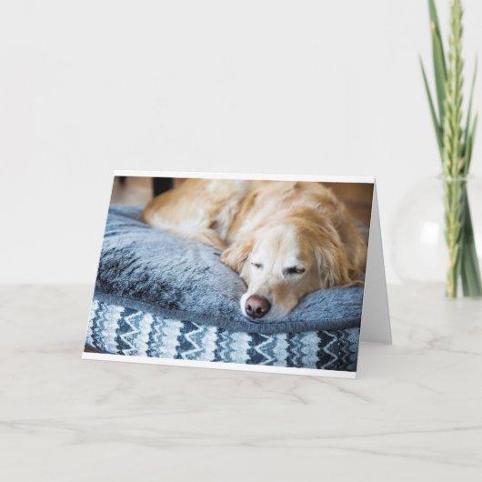 睡眠のゴールデン・リトリーバーの挨拶状 カード (正面)