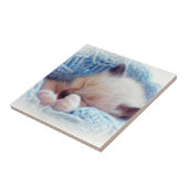 睡眠のシャムの子ネコの足 タイル (側面)