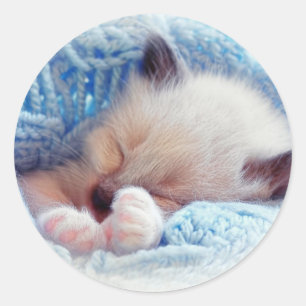 睡眠のシャムの子ネコの足 ラウンドシール