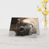 睡眠のジャーマン・シェパードのバースデー・カード カード (黄色い花)