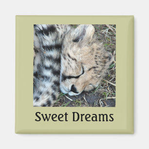 睡眠のチータのカブスの写真 マグネット