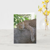 睡眠のチータ カード (黄色い花)