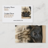 睡眠のパグの名刺 名刺 (正面/裏面)