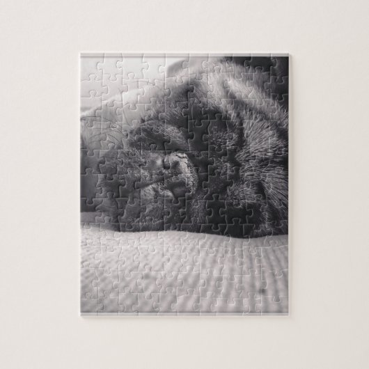 睡眠のパグ ジグソーパズル (縦)