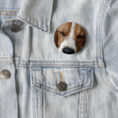 睡眠のビーグル犬の円形ボタン 缶バッジ (インサイチュ)