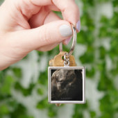 睡眠のピット・ブル犬 キーホルダー (手)