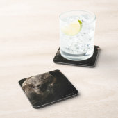 睡眠のピット・ブル犬 コースター (右側)