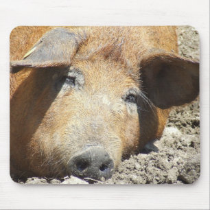 "睡眠のブタ"のマウスパッド マウスパッド