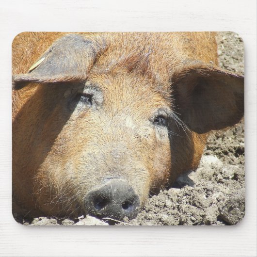 "睡眠のブタ"のマウスパッド マウスパッド (正面)