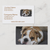 睡眠のブルドッグの名刺 名刺 (正面/裏面)