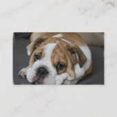 睡眠のブルドッグの名刺 名刺 (裏面)