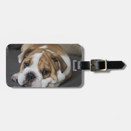 睡眠のブルドッグの荷物のラベル ラゲッジタグ (正面横)