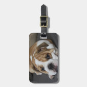 睡眠のブルドッグの荷物のラベル ラゲッジタグ (正面縦)