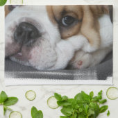 睡眠のブルドッグタオル キッチンタオル (折り畳み)