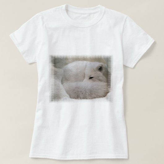 睡眠のホッキョクギツネ Tシャツ (デザイン正面)