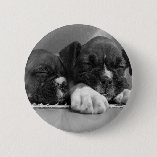 睡眠のボクサーの子犬ボタン 缶バッジ (正面)