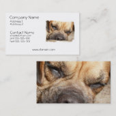 睡眠のマスティフ犬の名刺 名刺 (正面/裏面)