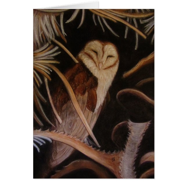 睡眠のメンフクロウのパステル調動物の絵画 (正面)