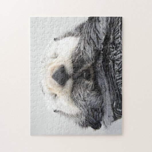 睡眠のラッコ ジグソーパズル (縦)