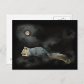 睡眠のリスの郵便はがき ポストカード (正面/裏面)