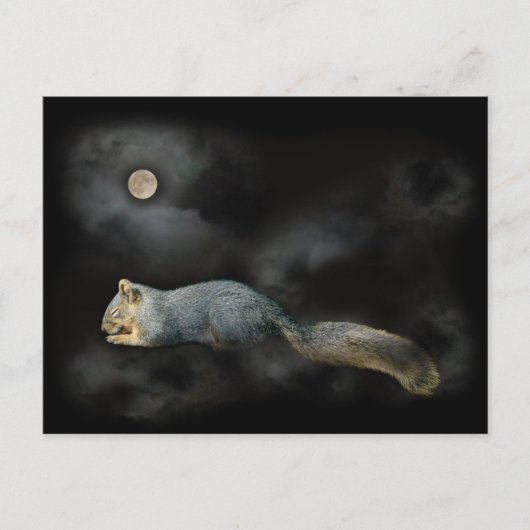 睡眠のリスの郵便はがき ポストカード (正面)