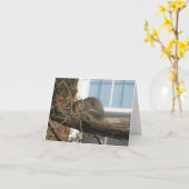 睡眠のリス カード (黄色い花)