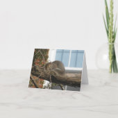 睡眠のリス カード (正面)