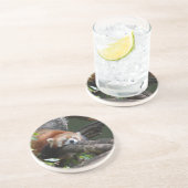 睡眠のレッサーパンダのコースター コースター (側面)