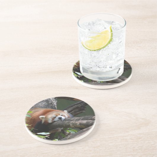 睡眠のレッサーパンダのコースター コースター (側面)