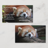 睡眠のレッサーパンダの名刺 名刺 (正面/裏面)