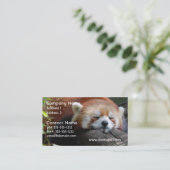 睡眠のレッサーパンダの名刺 名刺 (スタンド正面)