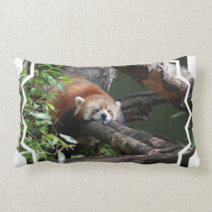 睡眠のレッサーパンダの枕 ランバークッション